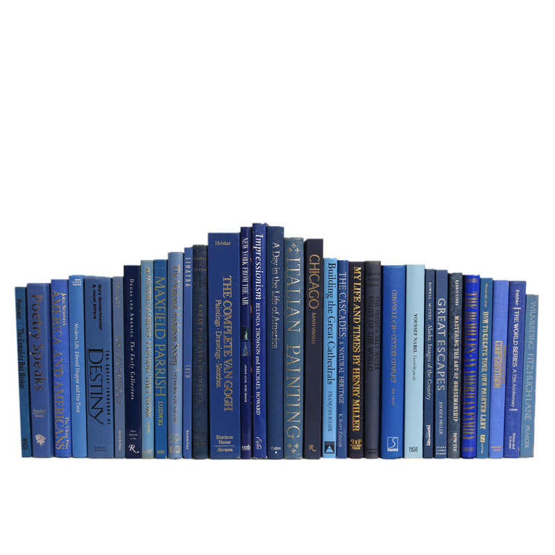 Livres décoratifs - livres en denim rétro surdimensionnés - livres bleus au pied