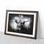 Paint Splattered Highland Cow Framed Print-56866156-56866161