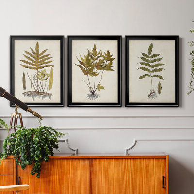 Fern Botanical I - Ensemble de 3 peintures sur toiles encadrées