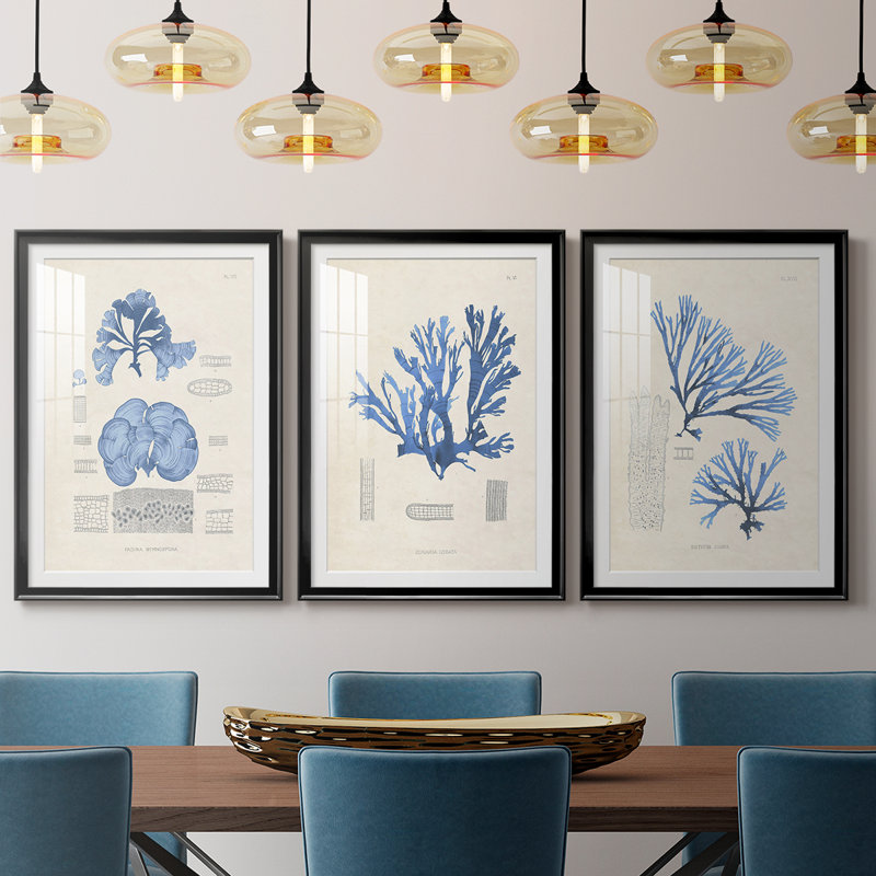 Blue Marine Algae IV - reproduction encadrée sur mesure de qualité supérieure mate - 3 pièces, Noir, H 21 po x l 30 po