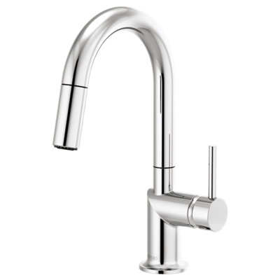 Odin® Pull-Down Prep Faucet with Arc Spout