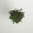 72 " H Faux Ficus Tree in Wicker/Rattan Basket