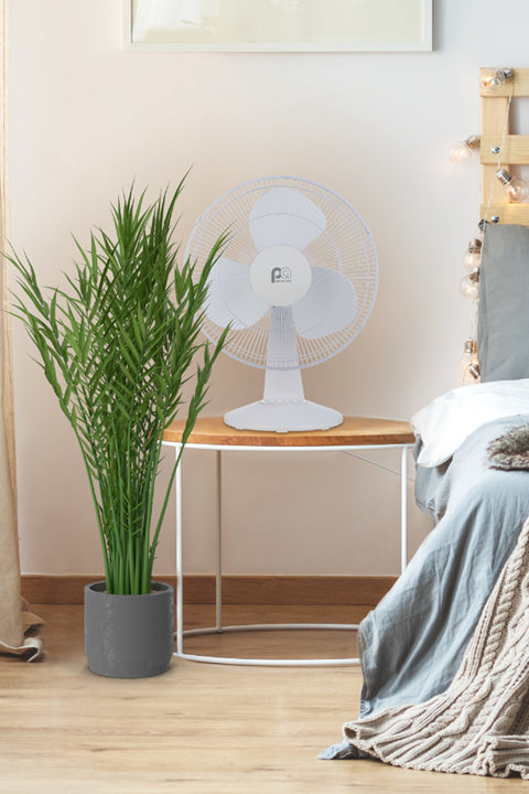 Shop Fans