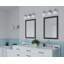 Rosser 3 Light Transparent Dimmable Vanity Light-1297509915