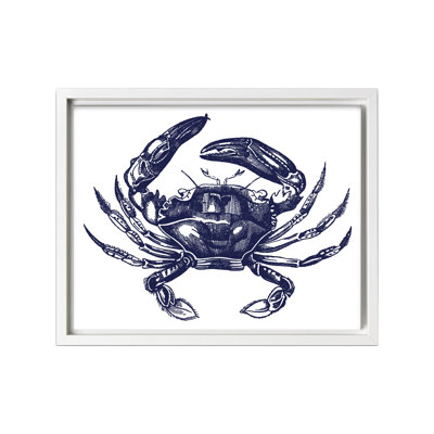 Crabe bleu marine