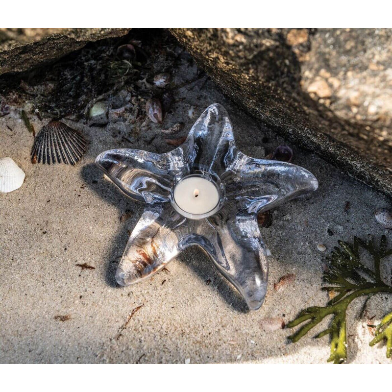 Starfish Tealight