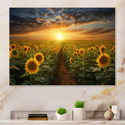 " Sunflower Golden Panoramic "