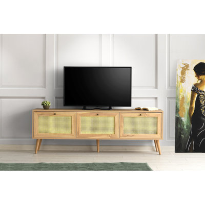Shamong TV Stand