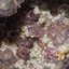 Decorative Stone Decorative Object