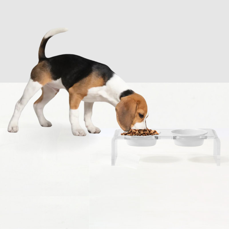 Small Clear Elevated Feeder with Color Bowls, White, 1.5 cups / 12 fluid oz