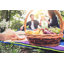 Polyester Picnic Blanket