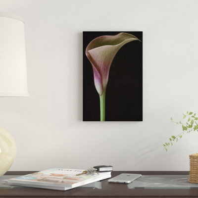 " Calla Lily II " by Alyson Fennell