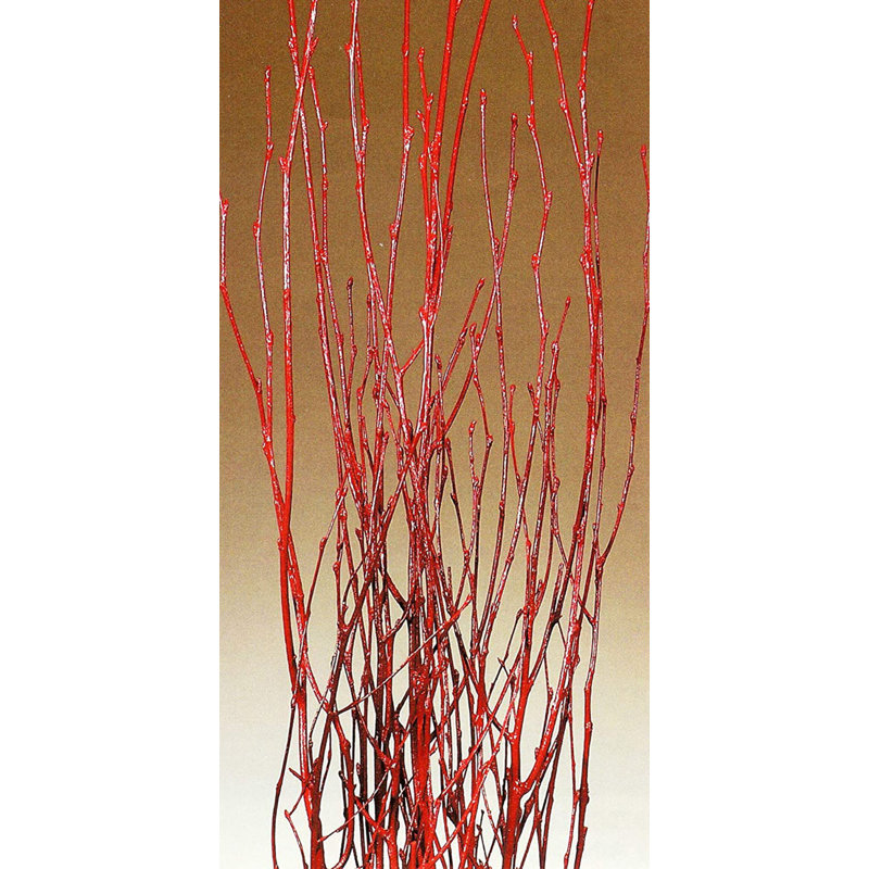 Natural Fibres Birch Branch Arrangement