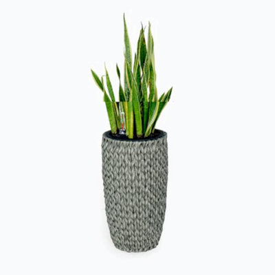 Pot à fleur Barmore