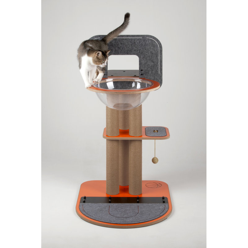 Panier de basketball pour chat avec griffoir Hewe