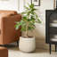 Jardinière d'extérieur en fibre d'argile beige avec rainures diagonales, silhouette arrondie