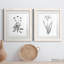 Inky Botanical I - ensemble de 2 peintures-1624088041-1624088043