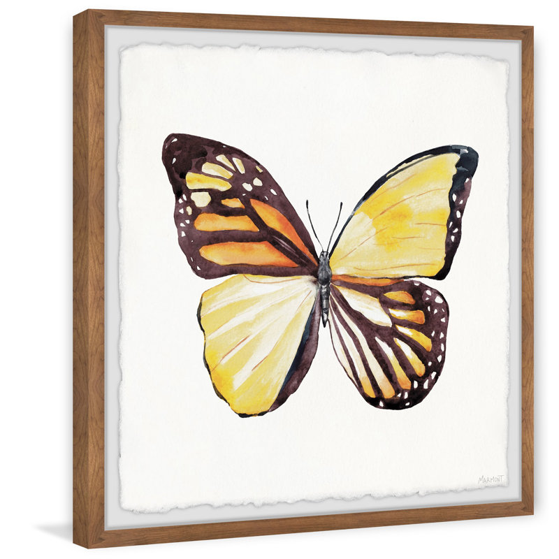 Distinct Wings - Single Picture Frame Painting, 81cm H x 81cm W x 3.81cm D