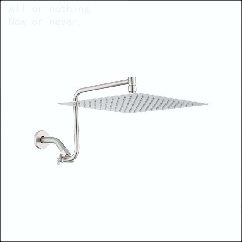 Pomme de douche à haute pression à bras réglable 12 po, pomme de douche fixe, Nickel brossé