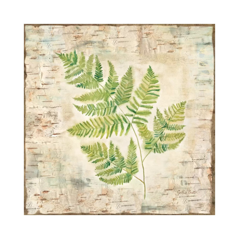 Birch Bark Ferns II by Cynthia Coulter - Wrapped Canvas Painting, 66.04 cm H x 66.04 cm W x 3.175 cm D