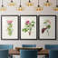 «Pretty Pink Botanicals IV», reproduction encadrée sur mesure de qualité supérieure - 3 pièces-1577315009-1577315008