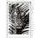 «Tiger Jungle ZV Shadowbox», reproduction d'art animalier par Notoriart