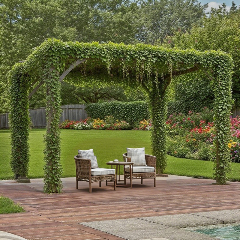 10 pi. L 12 pi. Pergola d'extérieur, abri de jardin en bois pour soutenir les plantes grimpantes, jardin, patio, cour arrière, terrasse, brun