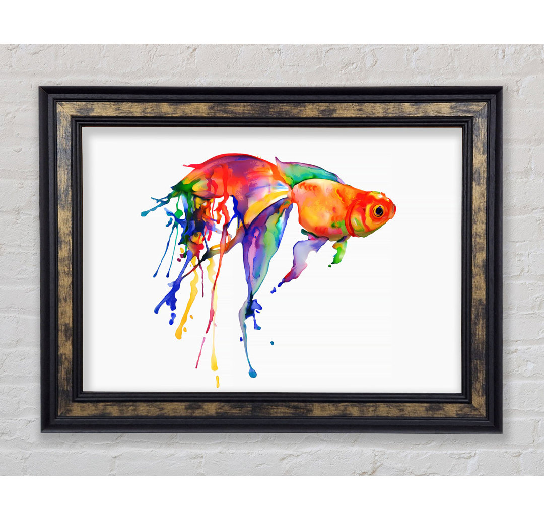 Regenbogen Goldfisch Gerahmter Druck Wandkunst