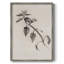 Reproduction florale vintage avec encadrement CECXLVI - bois massif