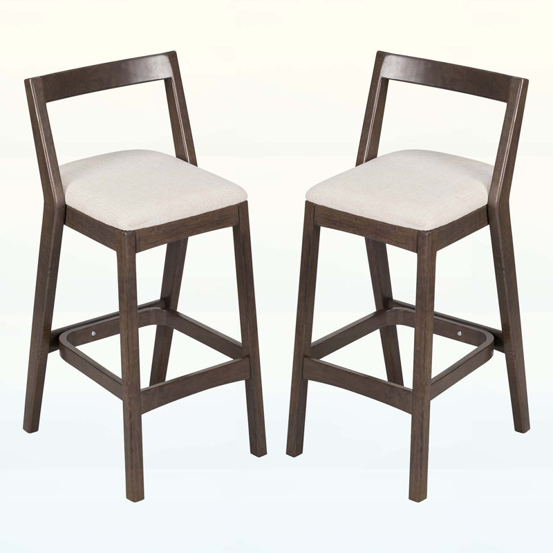 One Allium Way Side Chairs,Set of 2,Sturdy and Comfortable for Modern ...