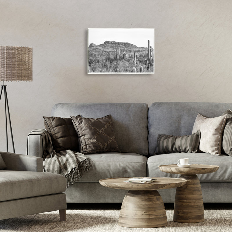 "American Borderlands Desertscape", art mural par Nathan Larson, H 13 po x l 19 po