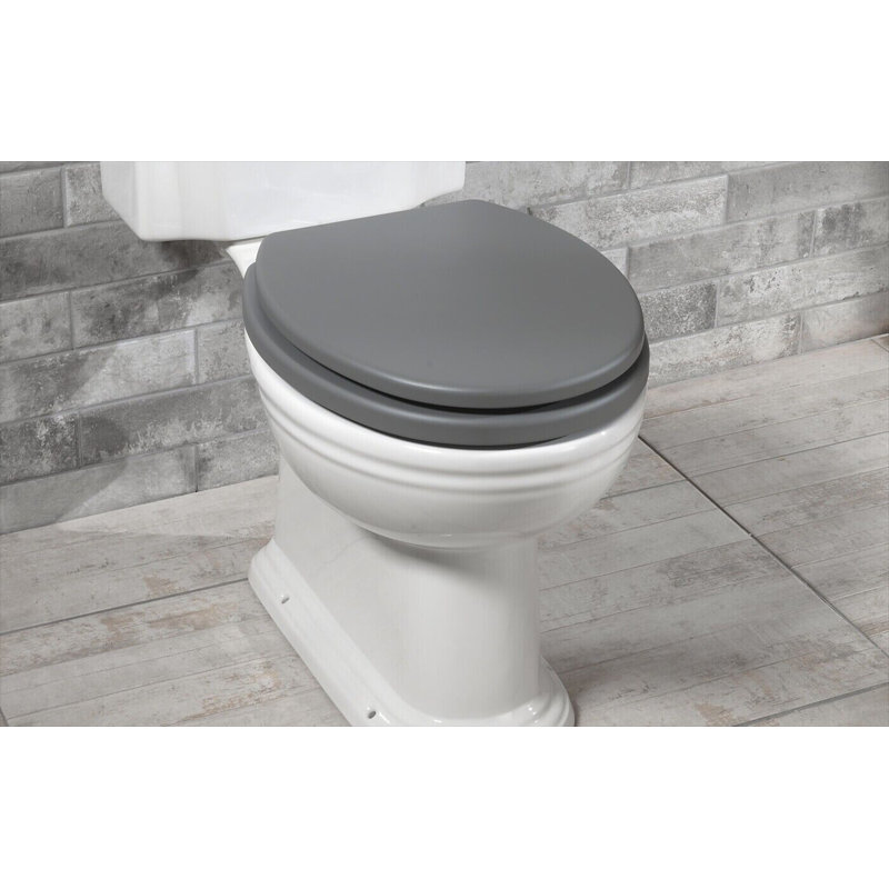 Actaeon Soft Close Elongated Standard Toilet Seat, Grey 