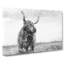 Highland Cow in Abstract - Wrapped Canvas-55312705