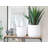Langport Handmade Pot Planter-2040890275-2040890273
