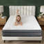10 Inch Full Size Breathable Cool Cover Memory Foam Individual Pocket Spring Hybrid Mattress-798046292