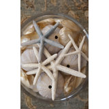 Layered Starfish Print by Barclay Butera