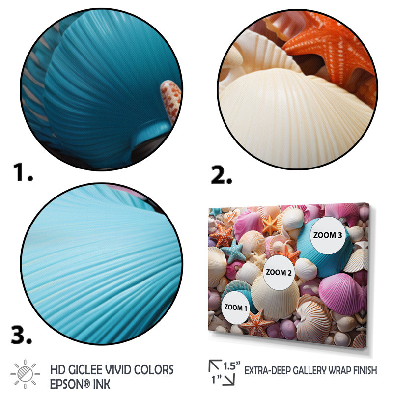 «Beach Photo Seashell Beauty VI», reproduction d'art sur toile, H 24 po x l 32 po x P 1 po, Noir