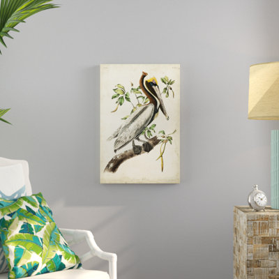 Brown Pelican by James Audubon - Painting Print