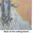 Peach Wool Sheep Glass Cutting Board