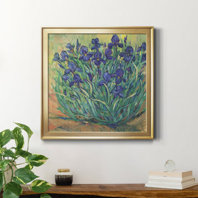 " Irises In Bloom I "