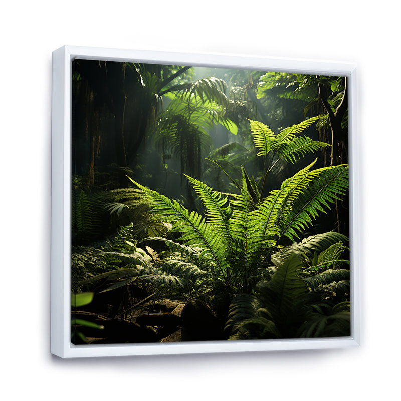 Jungle Ferns Delight sur impression sur toile, H 36 po x l 36 po x P 1,5 po, Cadre flottant blanc