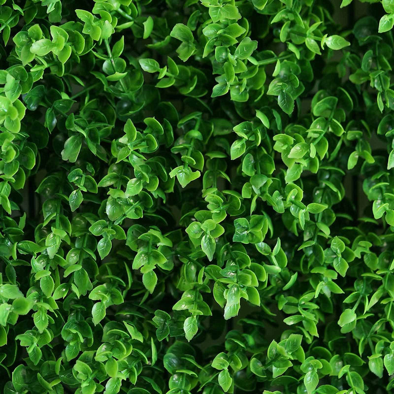 24'' Faux Hedge