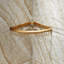 Schacher Stainless Steel Shower Basket