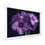 Monochromes parfumés fusion jonquilles I - jonquilles murales-252900427-252900420