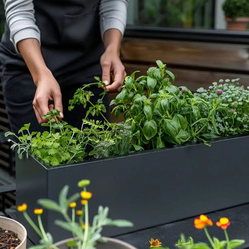 Reny Galvanised Zinc Trough Planter, 24cm H x 70cm W x 24cm D, Grey
