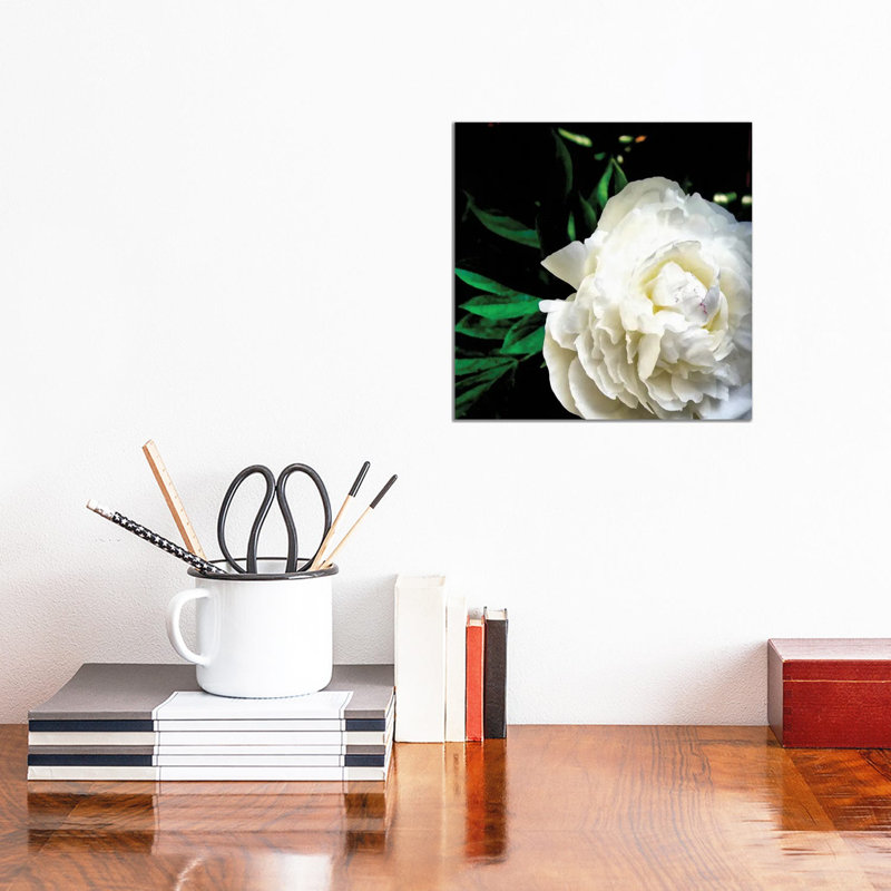 White Peony by Michelle Calkins - Wrapped Canvas Print, 30.48 cm H x 30.48 cm W