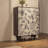 20 Pair Shoe Storage Cabinet