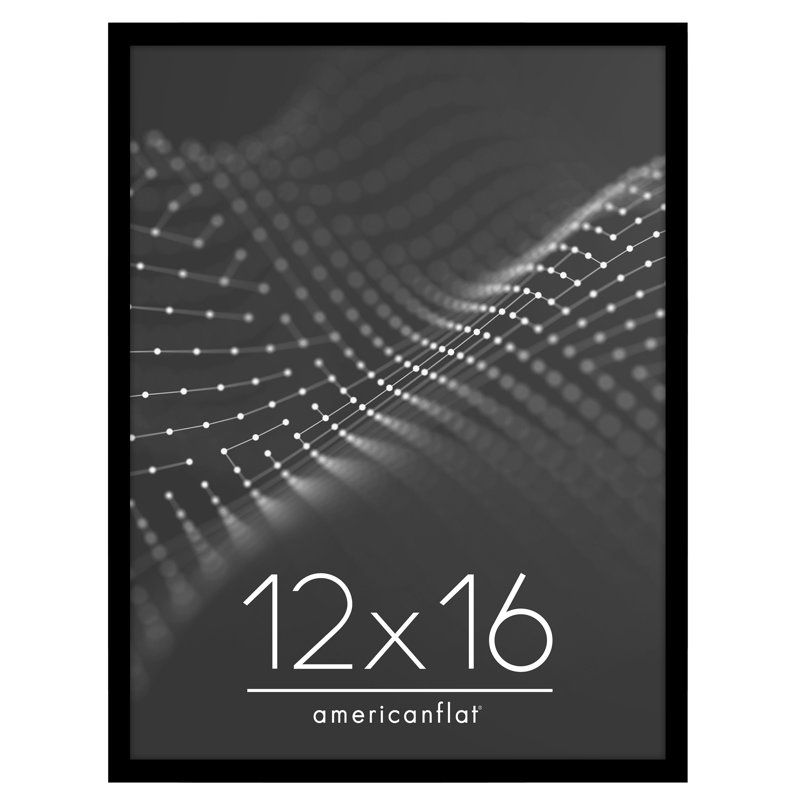 Americanflat Picture Frame - Thin Border Poster Frame with Plexiglass for Wall Display, Black, 12" x 16"
