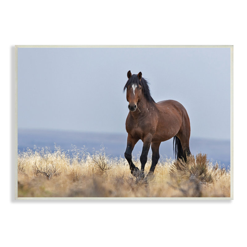 Cheval équestre dans une campagne sauvage, ciel bleu doux par - impression, Plaque murale, H 10 po x l 15 po x P 3 po