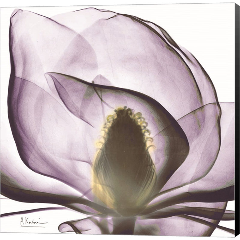 Plants & Flowers Wall Decor on Canvas